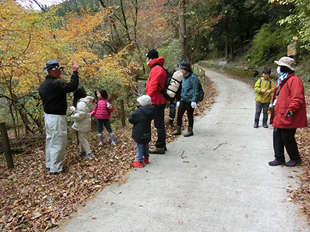 Nature observation under the guidance of instructors