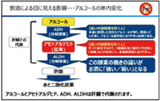 Anti-Drunk Driving Seminar (video streaming)