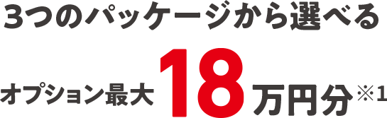 3つのパッケージから選べる オプション最大18万円分※1