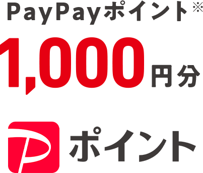 PayPayポイント※ 1,000円分