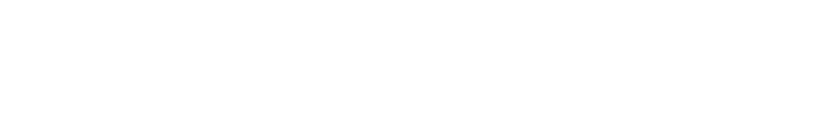 選べるオプション